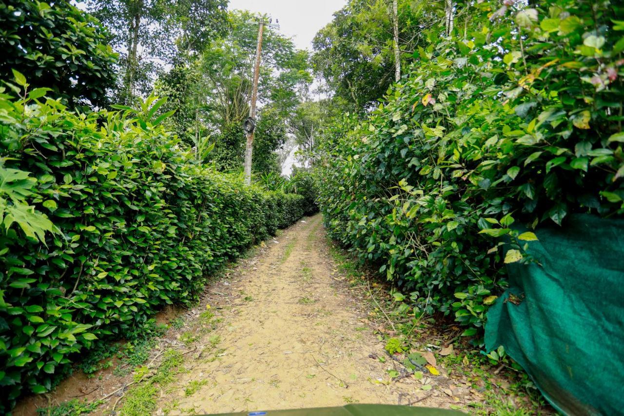 Thekkady Kalarickal Heritage Bungalow Vandanmedu エクステリア 写真