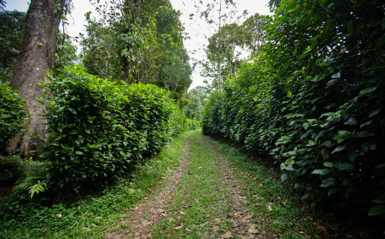 Thekkady Kalarickal Heritage Bungalow Vandanmedu エクステリア 写真